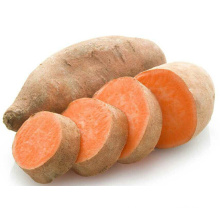 Sweet Potato